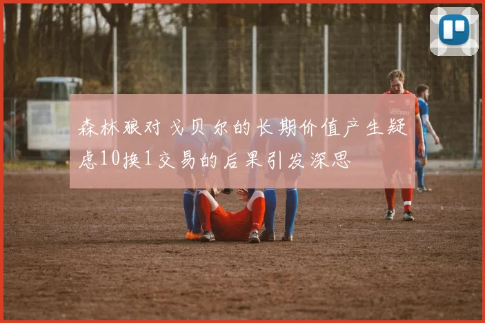 森林狼对戈贝尔的长期价值产生疑虑10换1交易的后果引发深思
