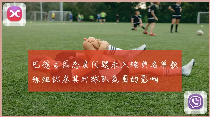 巴德吉因态度问题未入瑞典名单教练组忧虑其对球队氛围的影响